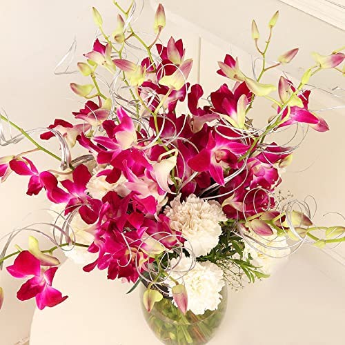 Fresh Live Flowers Bunch of 6 Purple Orchid And 10 White Carnation Flowers