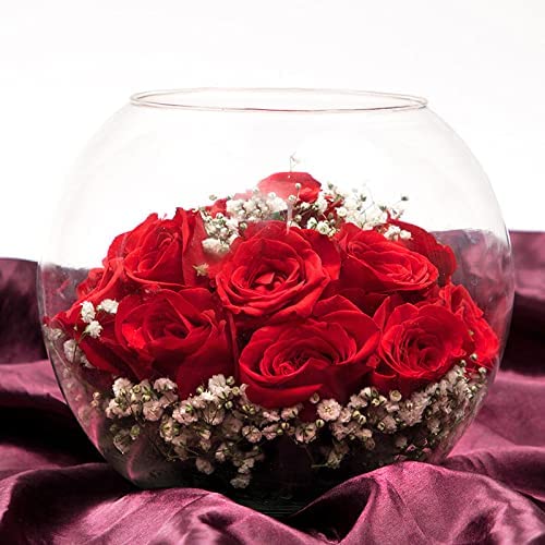 20 Red Fresh Live Rose Flowers