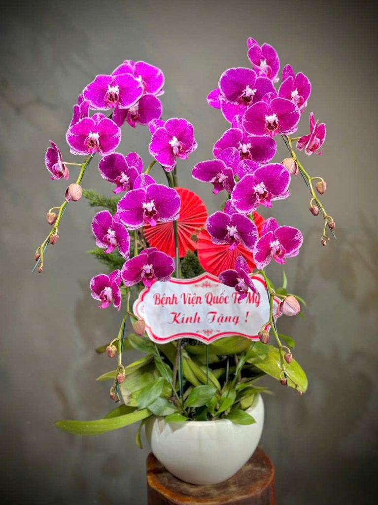 Lan hồ điệp Flowers2Home 001