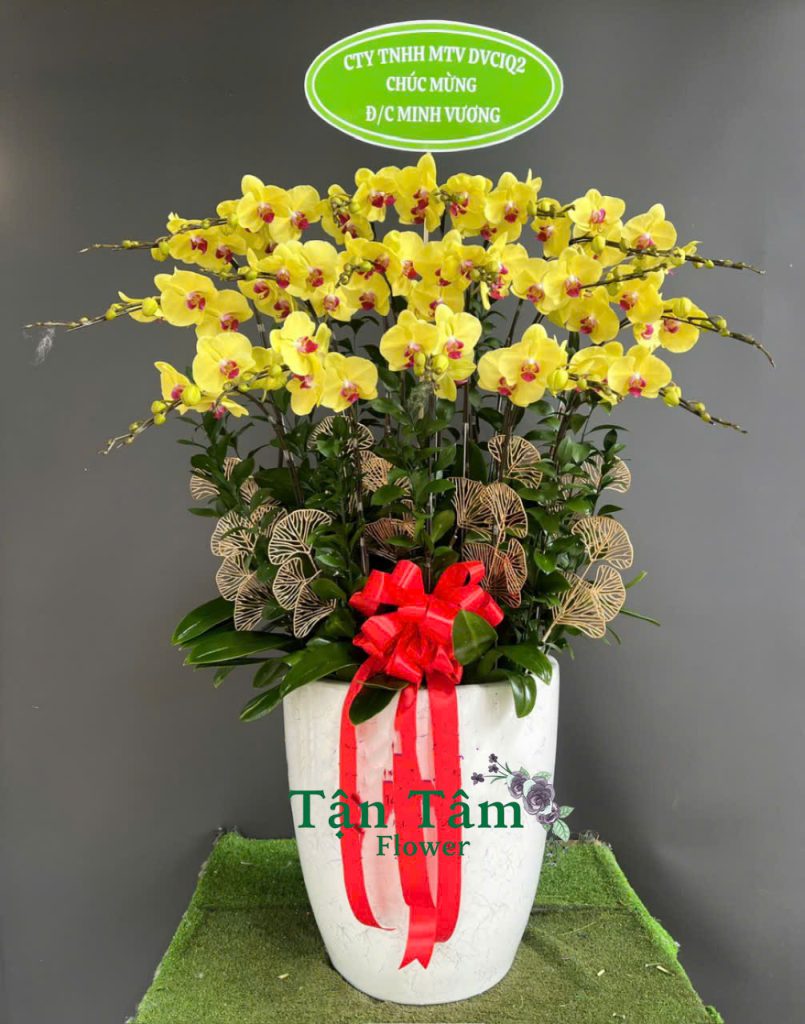 Lan hồ điệp Flowers2Home 004