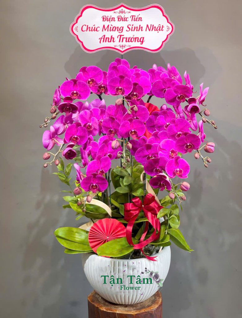 Lan hồ điệp Flowers2Home 005