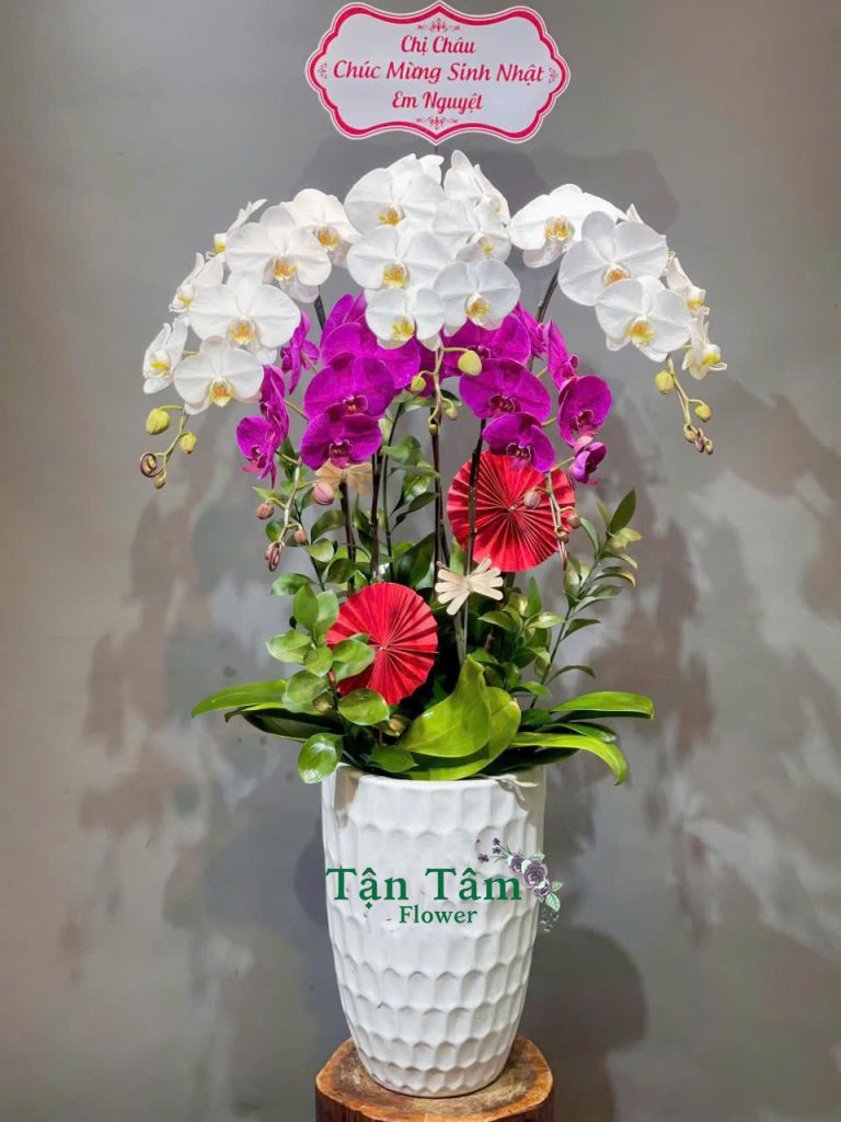 Lan hồ điệp Flowers2Home 012