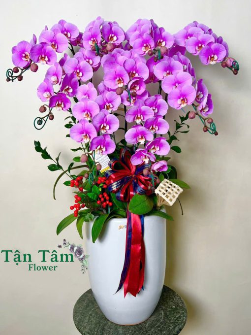 Lan hồ điệp Flowers2Home 013