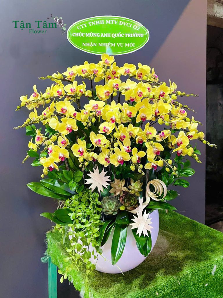 Lan hồ điệp Flowers2Home 017
